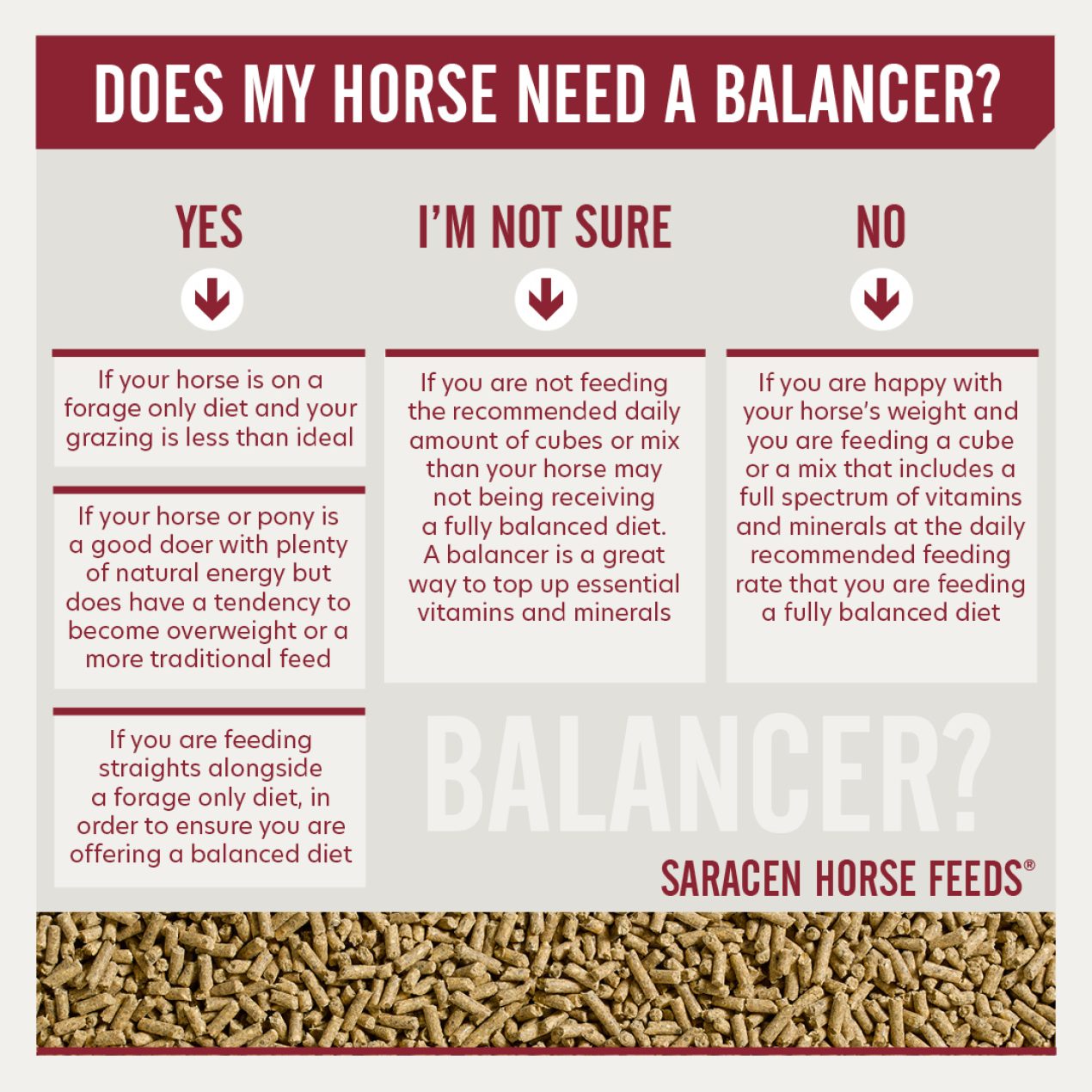 Decision Tree