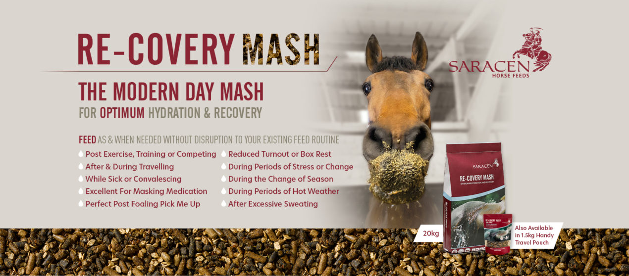 Saracen Re Covery Mash messy nose FB Header2