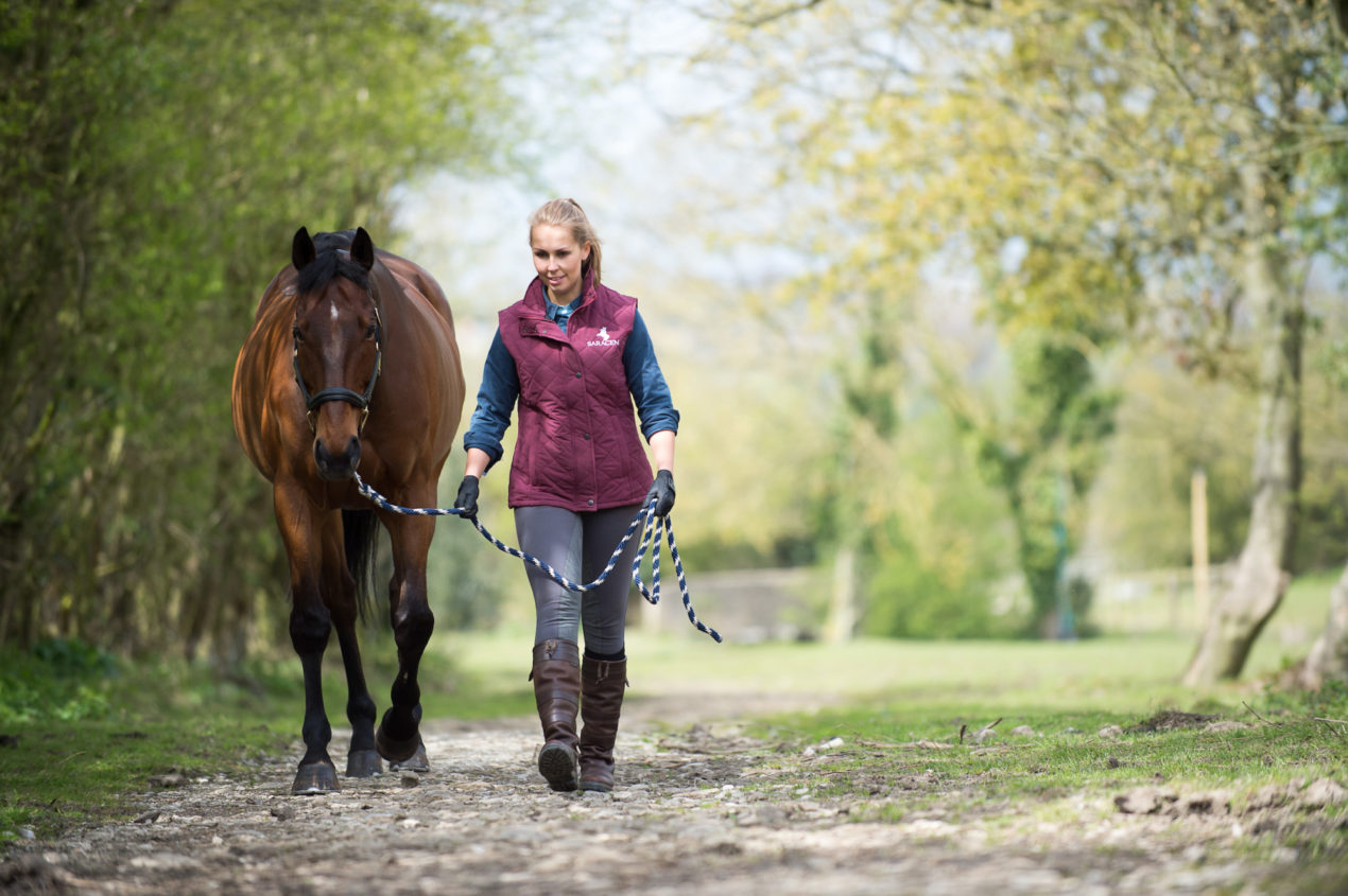 Sian Walking Horse