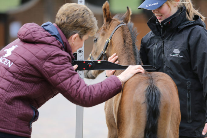 Measure sar0707 laura green