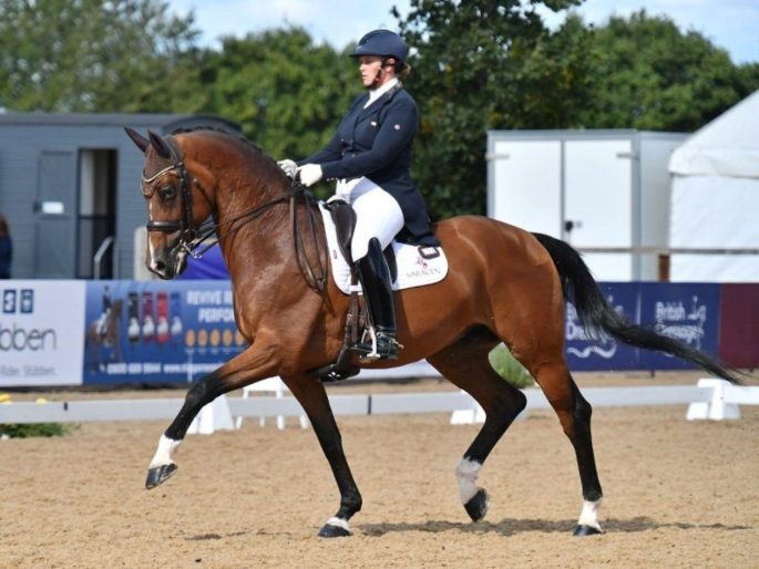 Sarah Higgins Dressage