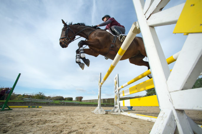 Showjumping Hi Res