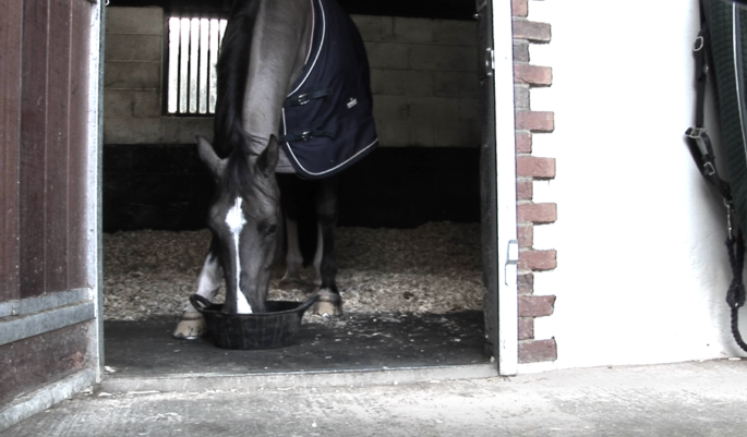 Valegro without logo
