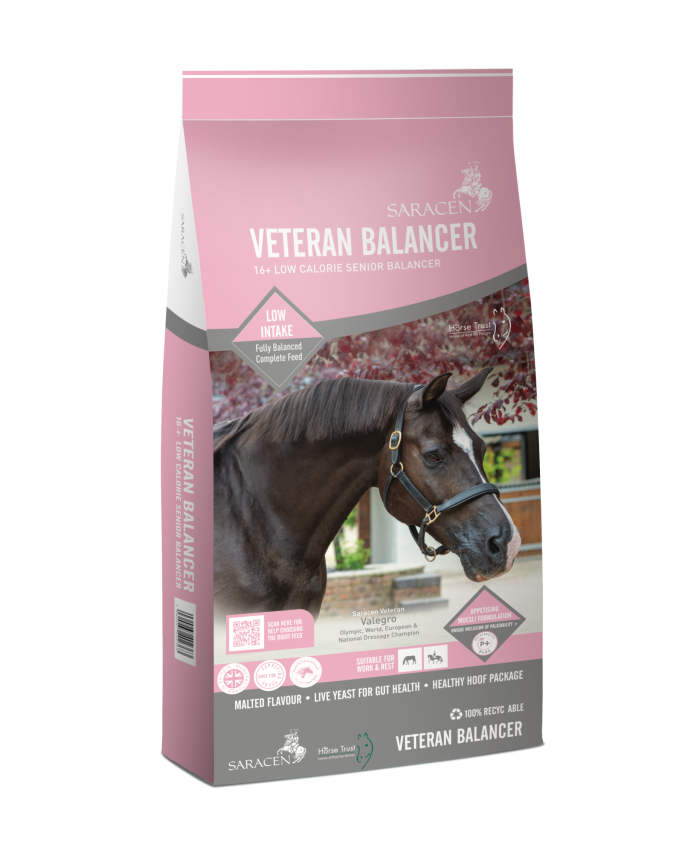 Veteran Balancer NEW