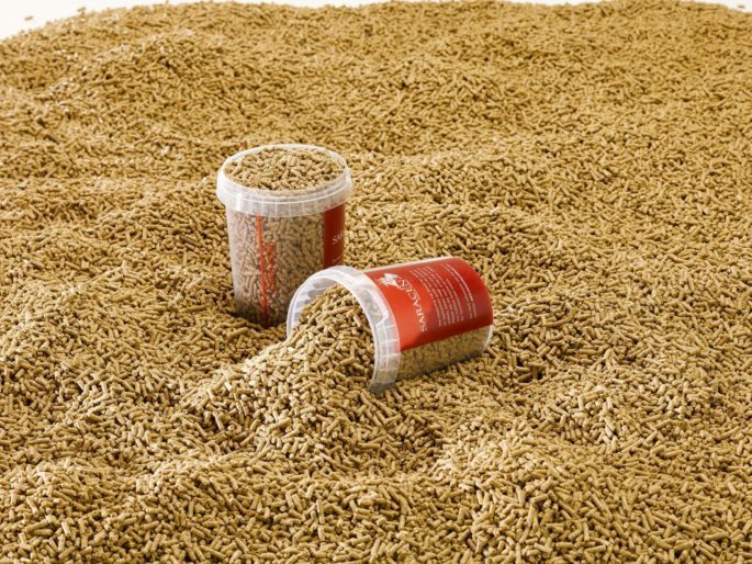 Why Feed A Balancer? Saracen Horse Feeds