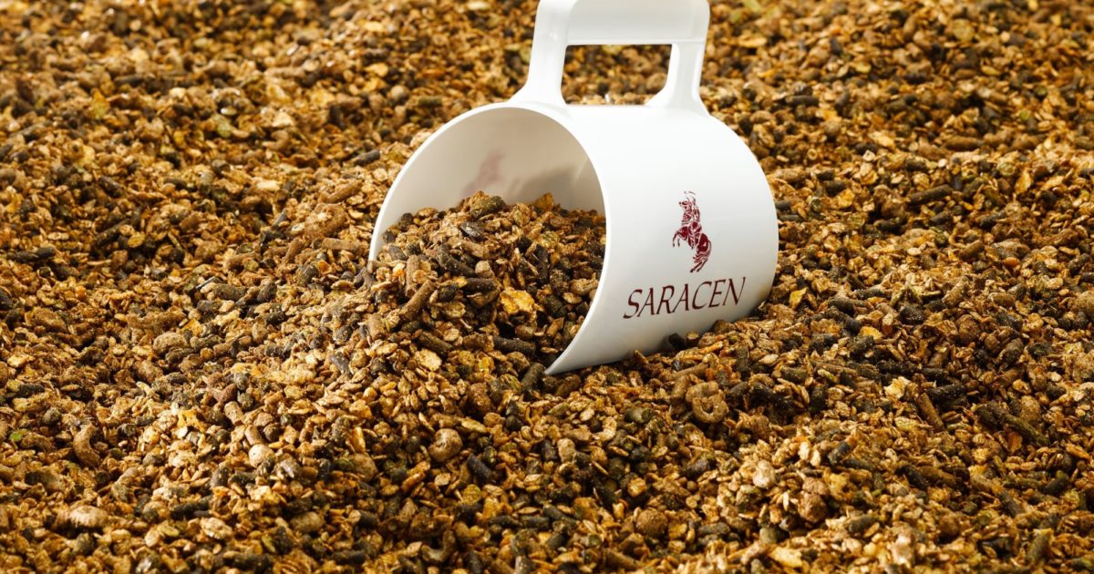Reducing Starch In Your Horse's Diet Saracen Horse Feeds