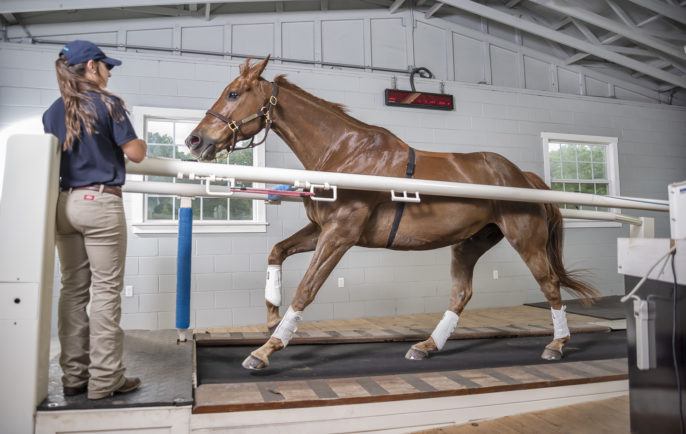 US KER South 009 0418 Treadmill