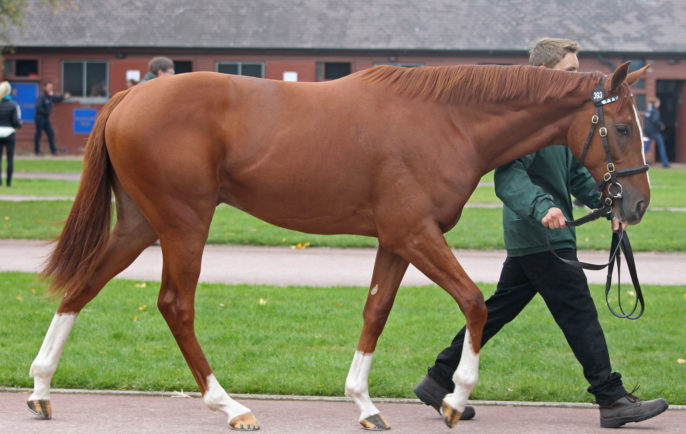 Lot393tbk1v0798tattersalls