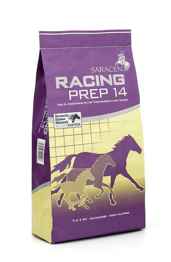 Revised bag racing prep 14 reduced h1000px 144ppi min