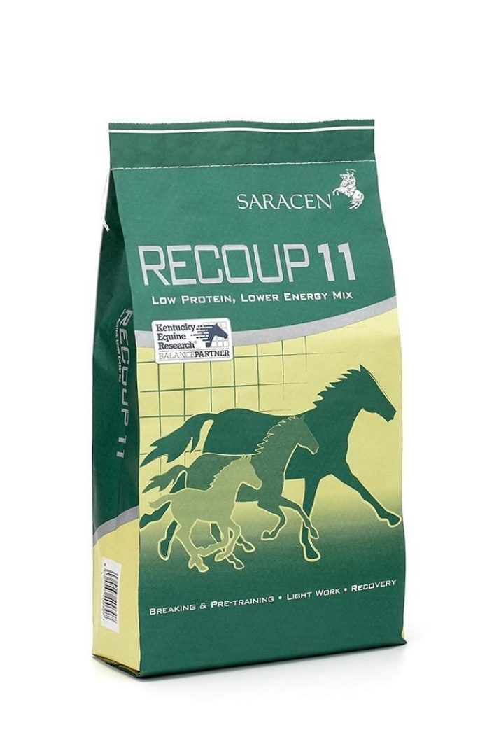 Revised bag recoup 11 reduced h1000px 144ppi min