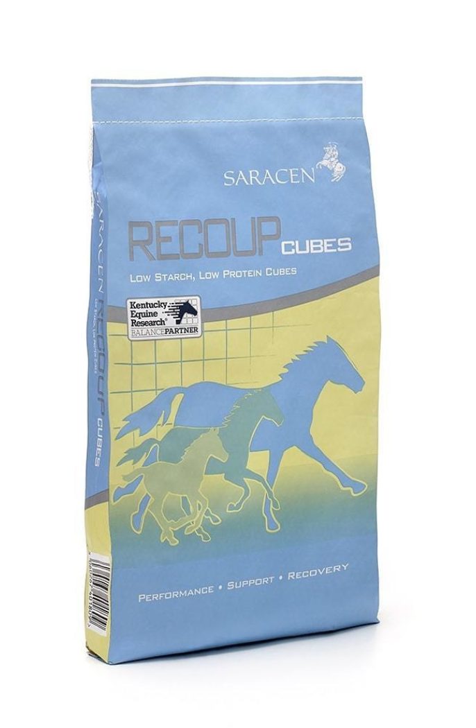 Revised bag recoup cubes reduced h1000px 144ppi min