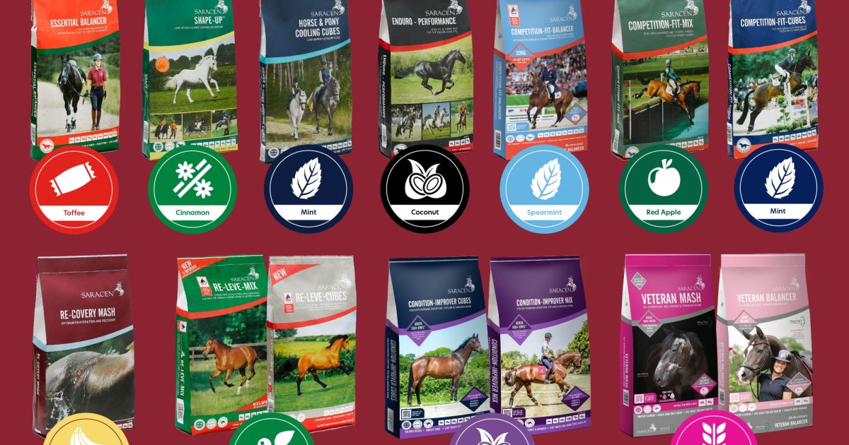 Feeding Solutions In Every Flavour Saracen Horse Feeds