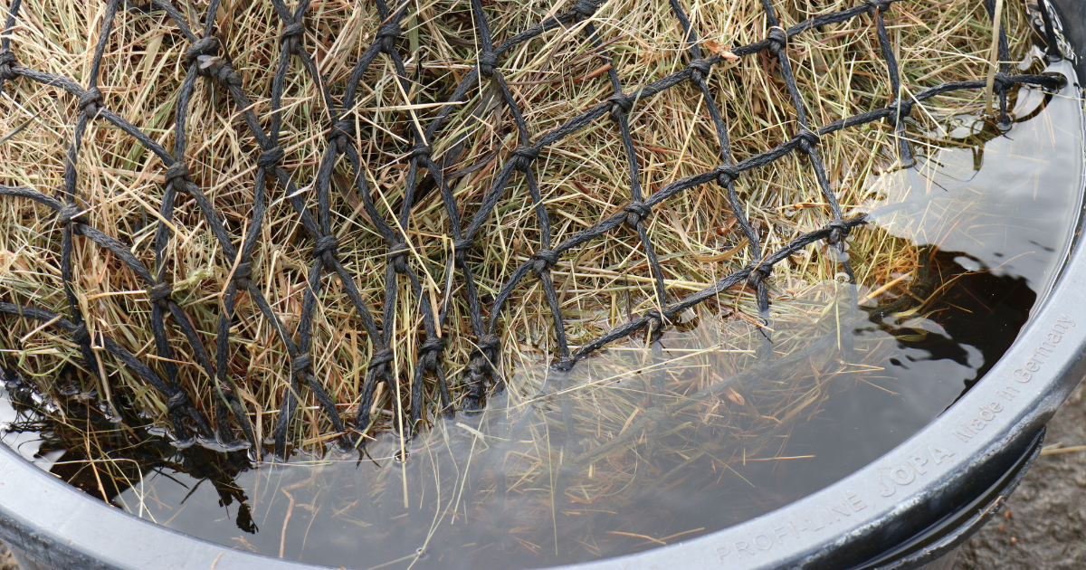 How Long Should I Soak My Hay For? Saracen Horse Feeds