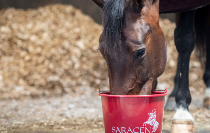 Untitled design 2021 10 04 T135611 637