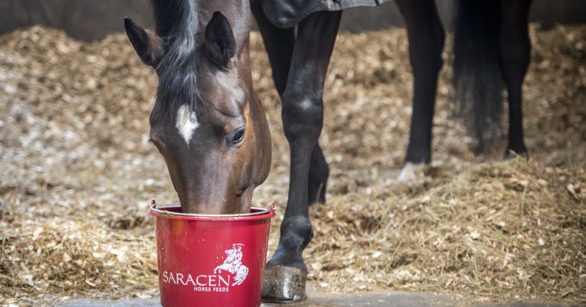 Quick Feed Finder Saracen Horse Feeds