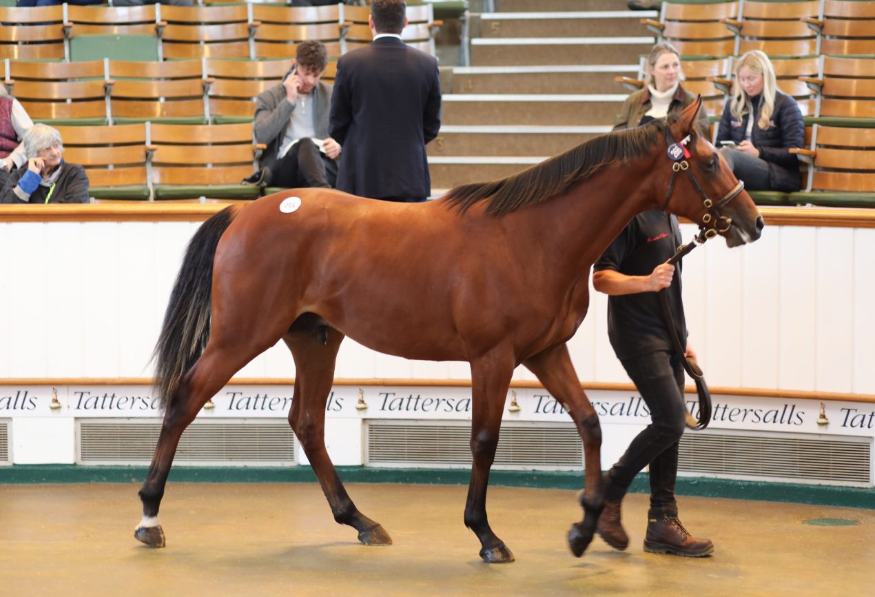 Lot266tbk17900tattersalls