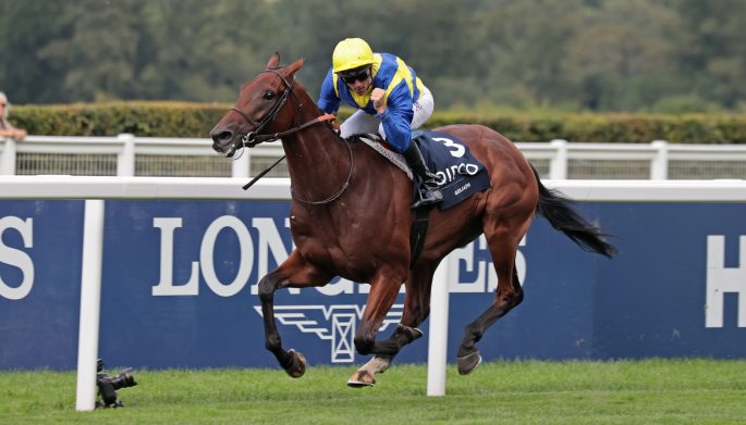 Goliath Gr 1 King George 2024