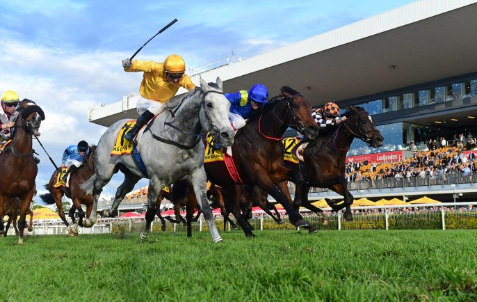 Bois d Argent Group 1 USA May 25 2024