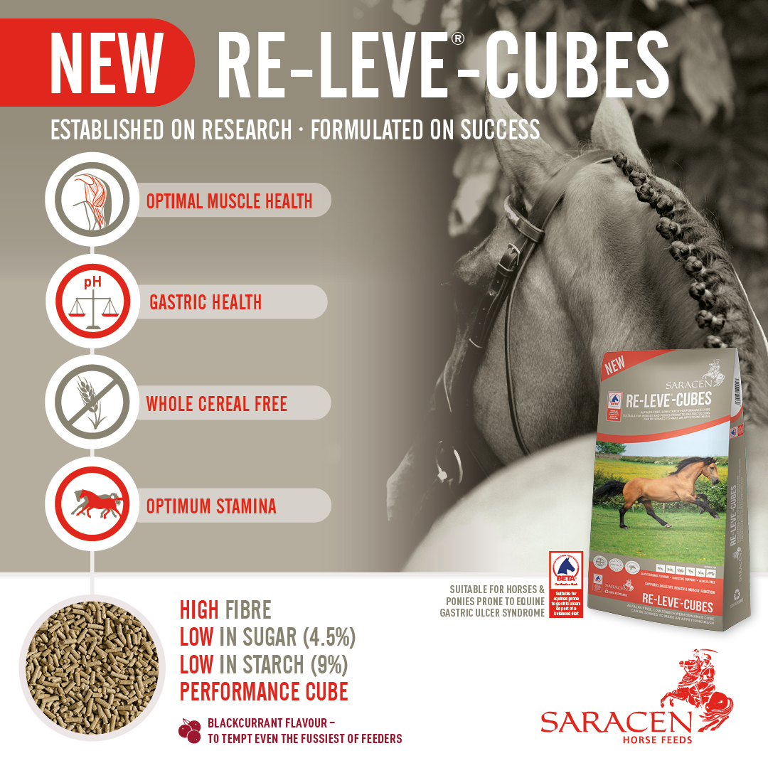 New Saracen ReLeve®Cubes Saracen Horse Feeds