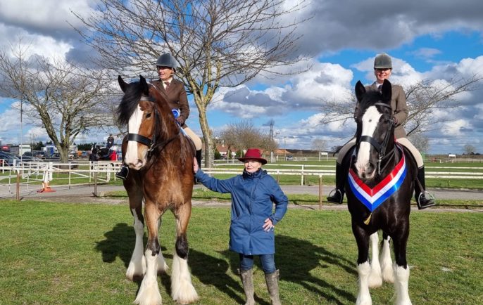 Shire Show 5