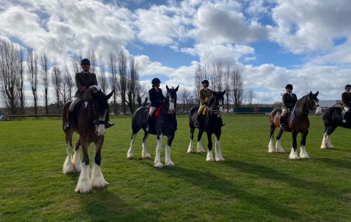 Shire Show 6