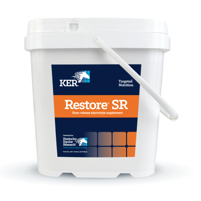 Restore SR Small Bucket NEW