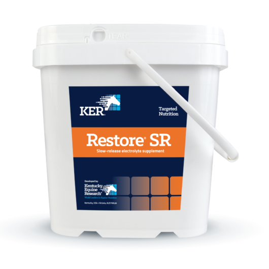 'Restore®SR' image