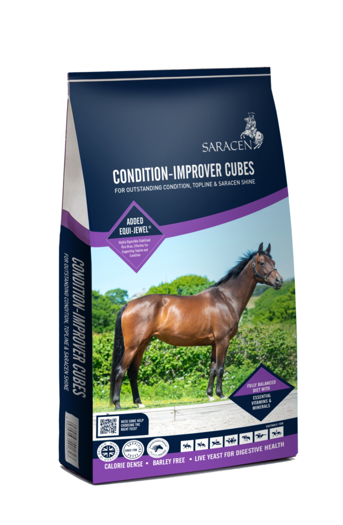 Bag render condition improver CUBES