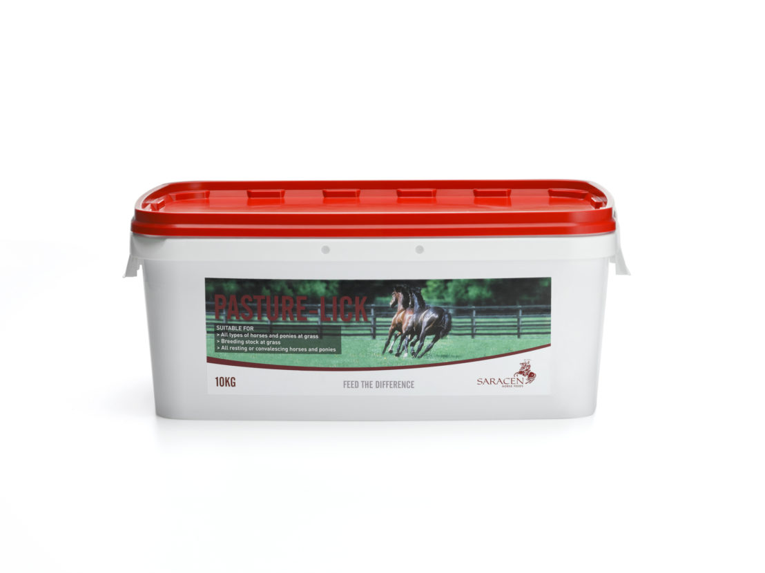 PASTURE LICK Saracen Horse Feeds