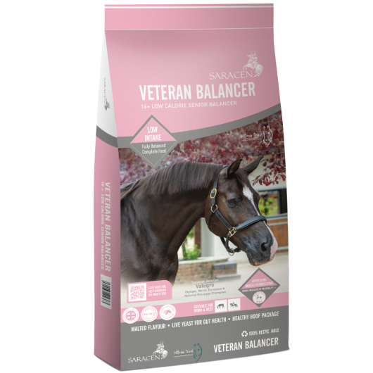 'Veteran Balancer' image