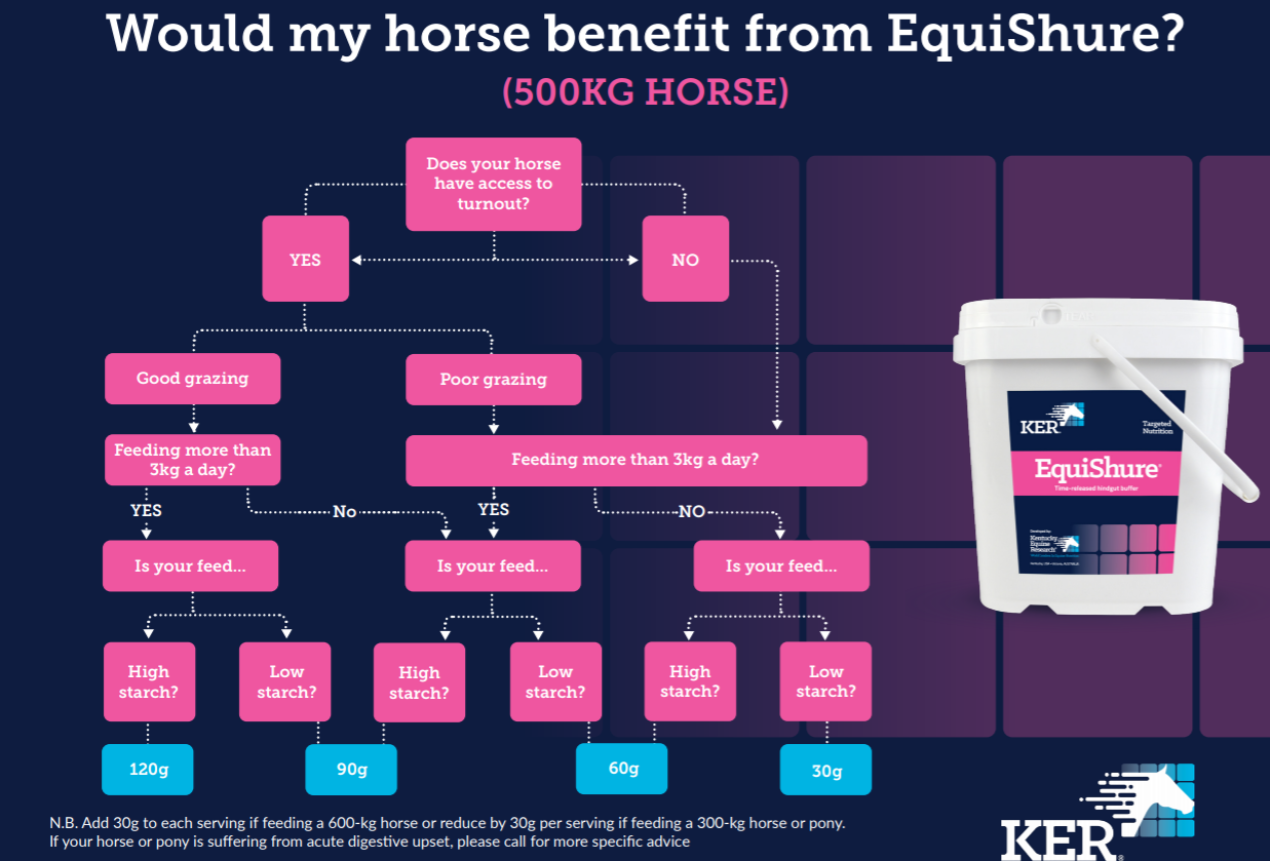 Would my horse benefit from EquiShure?